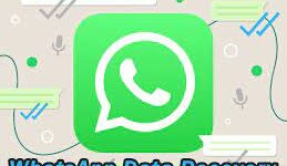 Whatsapp data recovery