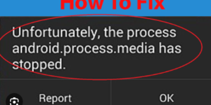 Android.Process.Media Has Stopped Error