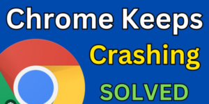 Chrome Keeps Crashing Issue