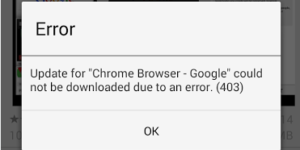 Google Play Store Error 403