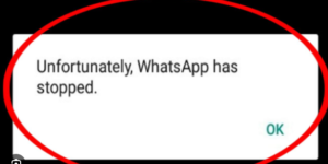 Fix “Unfortunately, WhatsApp Has Stopped” Error