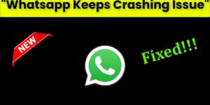 Fix WhatsApp keep Crashing Issue