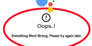 Google Assistant Something Went Wrong Error