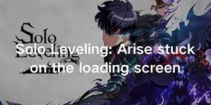 Solo Leveling Arise Stuck on Loading Screen Issue