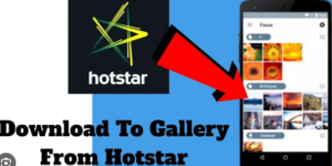 Transfer Hotstar Downloaded Video To Gallery