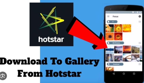 Transfer Hotstar Downloaded Video To Gallery