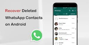 recover lost whatsapp contacts