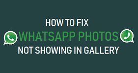 WhatsApp Photos Not Showing in Gallery Issue