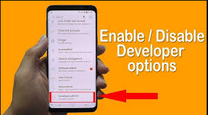 Enable Developer Options in Android