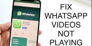 WhatsApp Videos Not Playing Issue