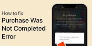 This Purchase Was Not Completed Roblox Error
