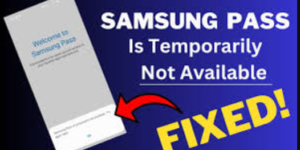 Samsung Pass Is Temporarily Not Available Issue